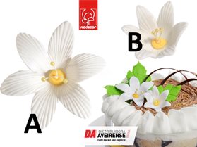 Decoração Kit Nenúfar