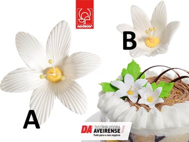 Decoração Kit Nenúfar