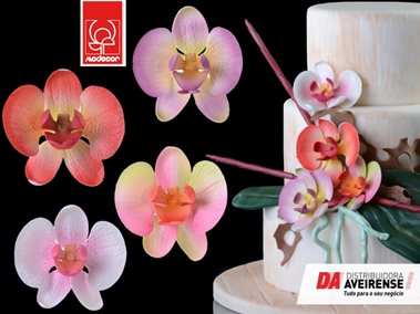 Decoração Flor Orquídea Sort.