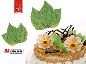 Decoração Folhas Simples