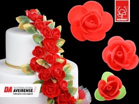 Flores P/Decoração